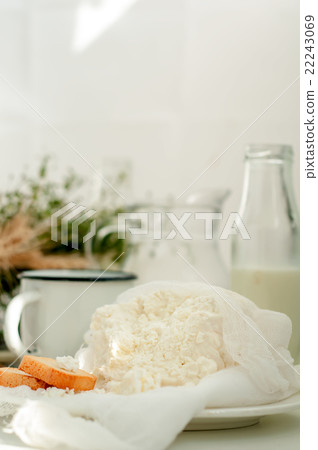 Plate of homemade cottage cheese Plate of homemade cottage cheese 22243069