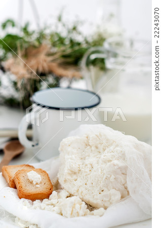Plate of homemade cottage cheese Plate of homemade cottage cheese 22243070