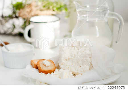 Plate of homemade cottage cheese Plate of homemade cottage cheese 22243073