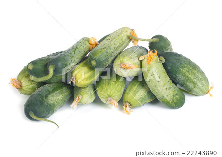 Fresh green cucumber with flowers isolated Fresh green cucumber with flowers isolated 22243890