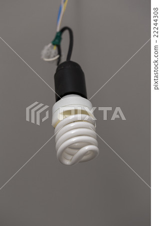 bulb on the white background bulb on the white background 22244308