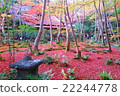 Autumn leaves of the Mossa Temple 22244778