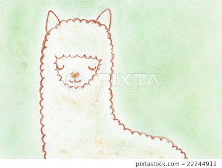 Alpaca "Komorebi" 22244911