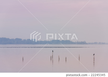 Northern Sea landscape 22245345