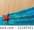 Marine composition on wooden background design template. 22245561