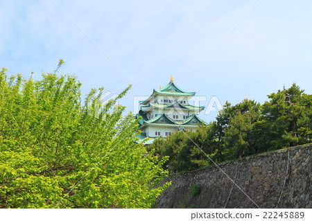 Nagoya Castle Main Tower 22245889