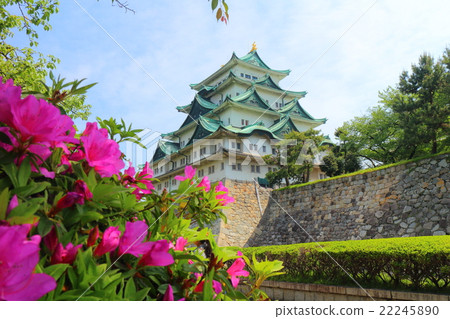 Nagoya Castle Main Tower 22245890