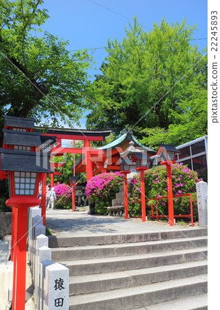 Sanko Inari Shinto shrine torii 22245893
