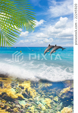 Seascape with Dolphins Seascape with Dolphins 22245920
