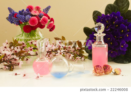 aromatherapy - dry flowers and potions aromatherapy - dry flowers and potions 22246008