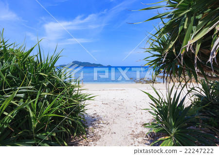 Hizushi Beach Akajima 22247222