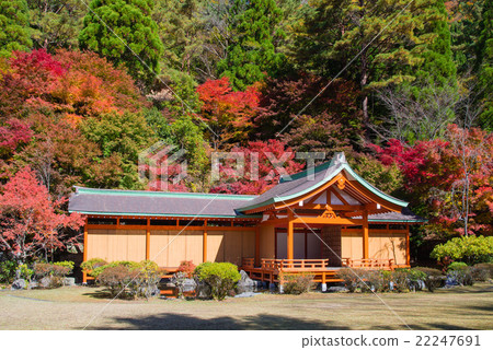 Heikei no Sato in Autumn 22247691