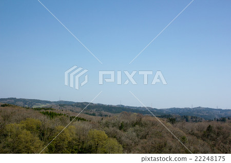 石川森林公園 22248175