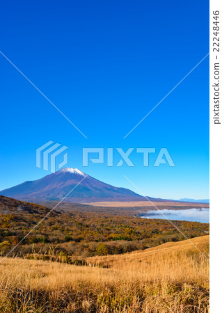 秋天的風景（5） 22248446