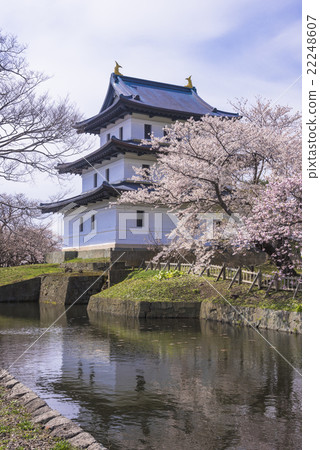 櫻花盛開的松前城堡 22248607