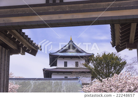 櫻花盛開的松前城堡 22248657