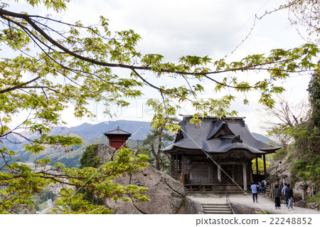 山形市新鮮的綠色山寺Rhizoji 22248852