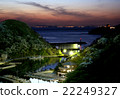 Human butterfly and Korean night view 22249327