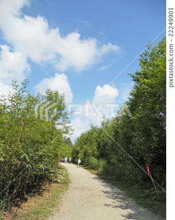 Biei platinum road to the blue pond Biei platinum road to the blue pond 22249901