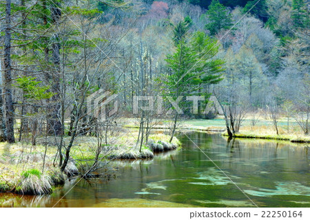 Kamikochi Tashiroi池塘在早春 22250164