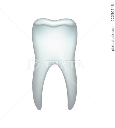 Tooth on a white background - Stock Illustration [22250548] - PIXTA