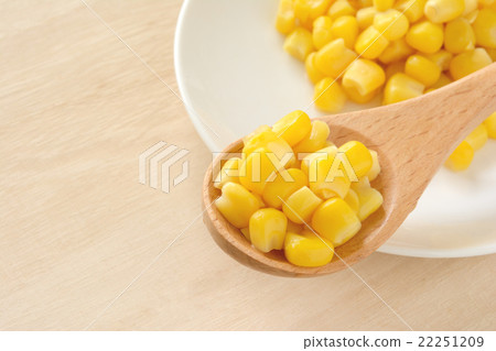 玉米五穀背景 22251209