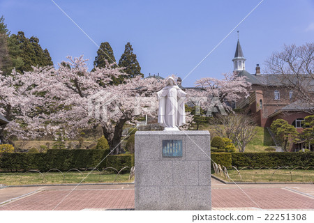 Trappestine修道院充滿櫻花 Trappestine修道院充滿櫻花 22251308