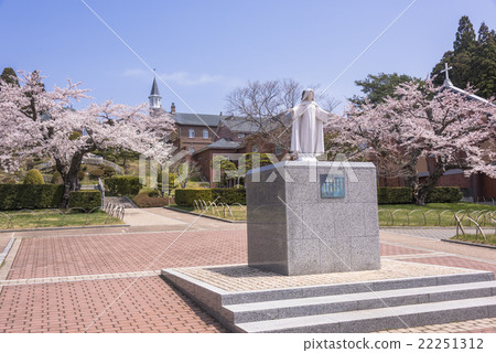 Trappestine修道院充滿櫻花 22251312