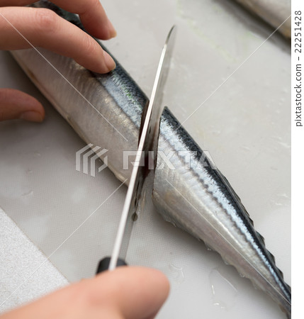 秋刀魚 22251428