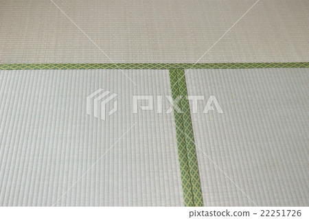 榻榻米 22251726