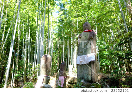 Kumano Kodo Matsumoto Pass 22252101