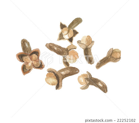 Clove Clove 22252102