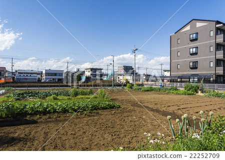 Lot of residential area 22252709