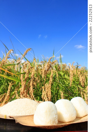 秋葉米領域米飯糰 22252913