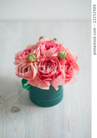 bunch of pale pink ranunculus persian buttercup 22252989