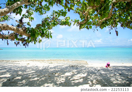 Tourist image Kaiji beach of Taketomi-jima 22253113