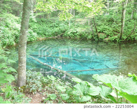 God's Pond God's Pond 22253804