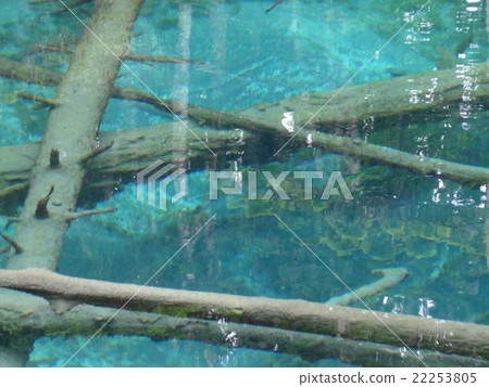 God's Pond God's Pond 22253805