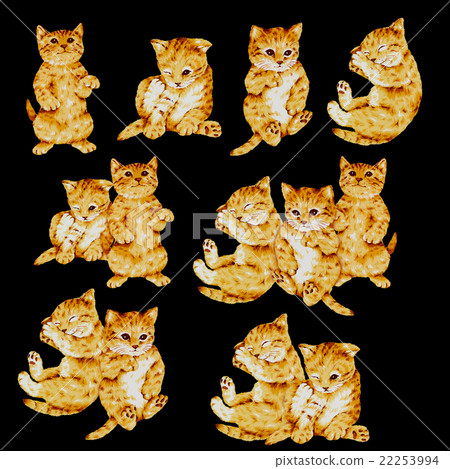 可愛的貓咪圖 22253994