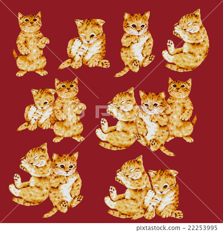 可愛的貓咪圖 22253995