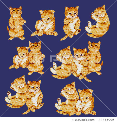 可愛的貓咪圖 22253996