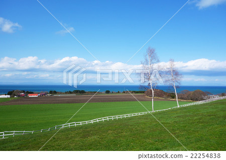 Spring Yakumo Hokkaido 22254838