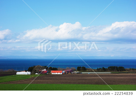 Spring Yakumo Hokkaido 22254839