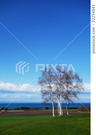 Spring landscape in Yakumo suburbs 22254841