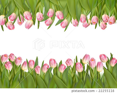 Blossoming tulips decorative border. EPS 10 Blossoming tulips decorative border. EPS 10 22255118