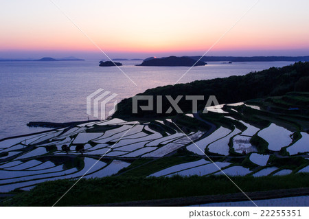 The sunset of Tsuchiya rice terrace 22255351