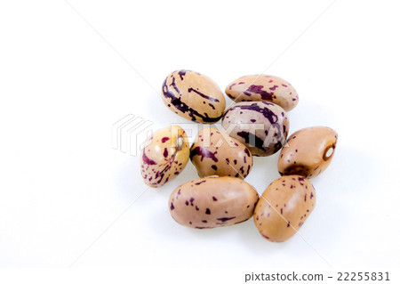 close up of some borlotti beans 22255831