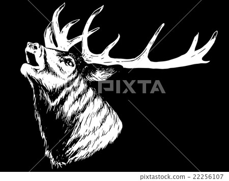 Horned Deer Howling 22256107