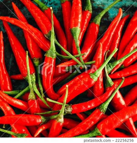 Red Chili Peppers Close-up 22256256