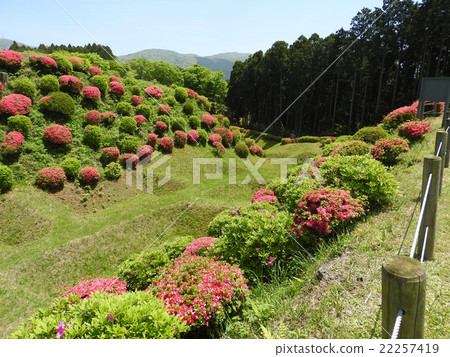 山中城堡廢墟公園 22257419
